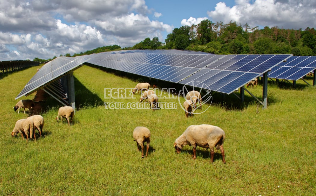 Egret Solar New Energy Technologyn ja Smart Concept Energyn välinen strateginen yhteistyö